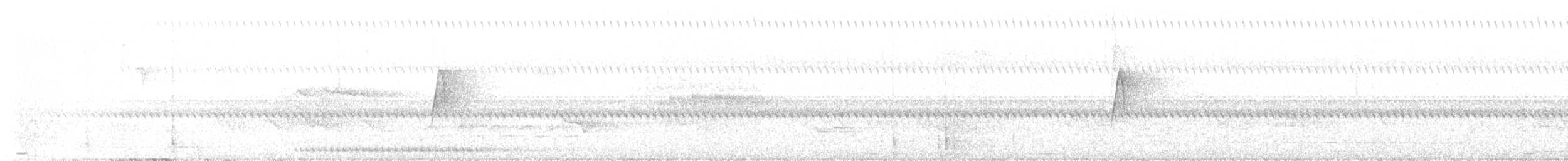 østempid - ML637057286
