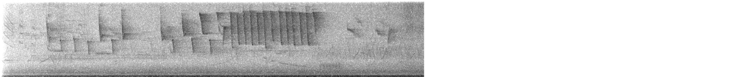 Tennessee Warbler - ML637059893