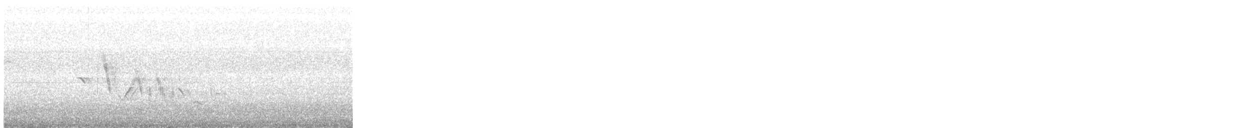 bělořit šedý - ML637060059