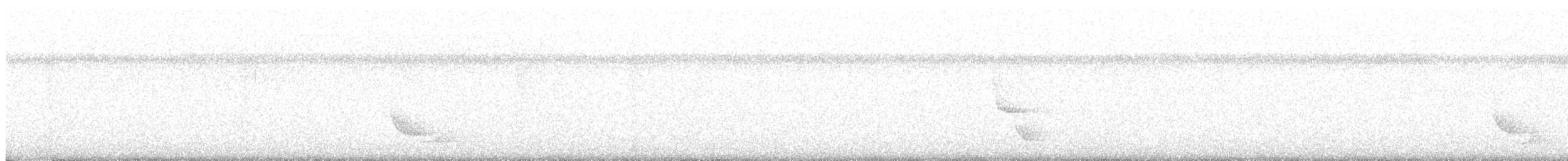 Pearly-eyed Thrasher - ML637060515