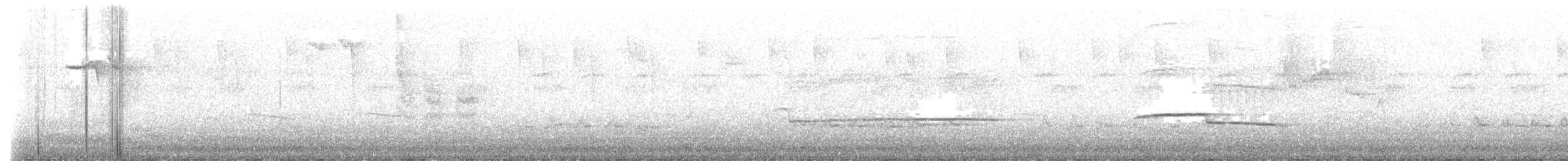 Short-tailed Hawk - ML637063959