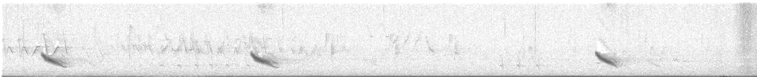 Veery - ML637064713