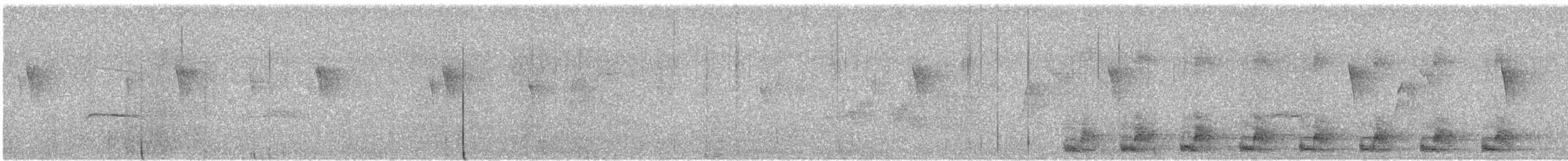 fagertrogon (ambiguus gr.) - ML637065231