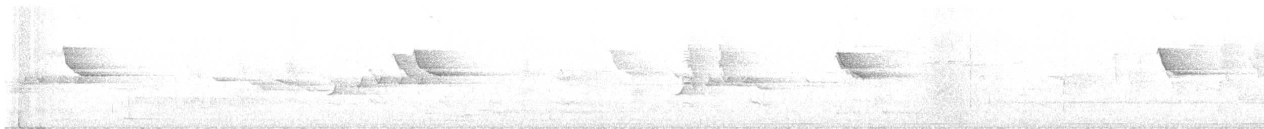 Pacific Emerald Dove - ML637070545