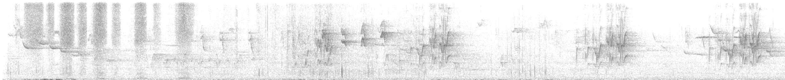 White-eared Monarch - ML637070550