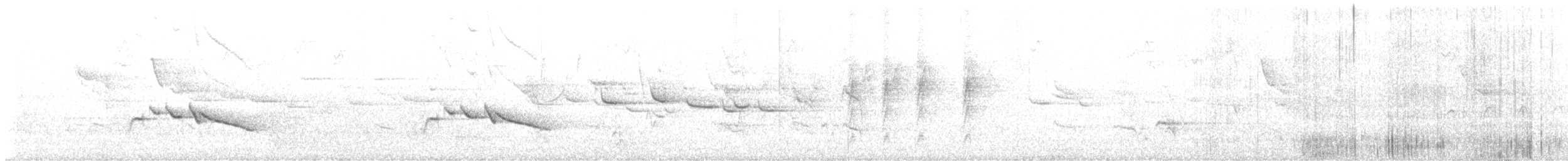 White-eared Monarch - ML637070553