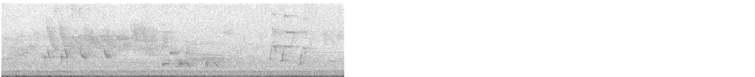 Kuitlakotxe gorrizta - ML637070995