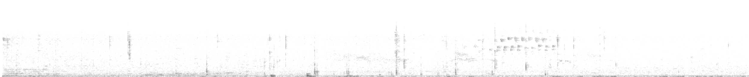 Boat-tailed Grackle - ML637072860