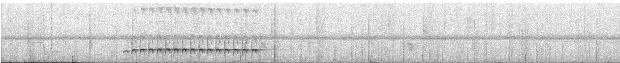 Western Fire-eye (Pacific) - ML637075893