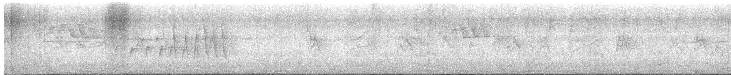 キタミズツグミ - ML637076706