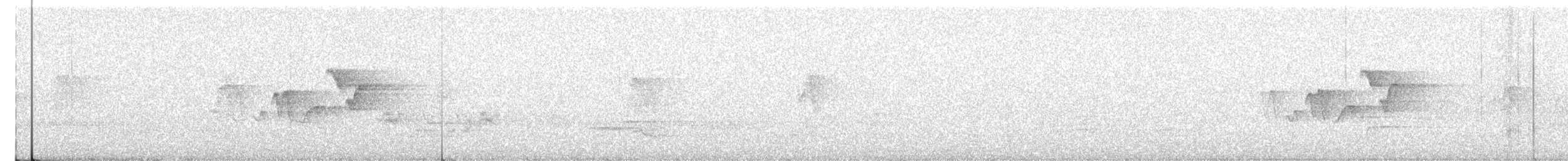 シロオビアメリカムシクイ - ML637078134