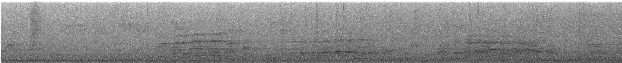 Oriental Pied-Hornbill - ML637078681