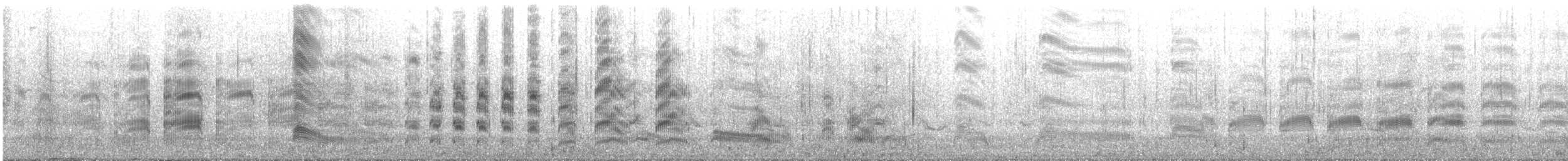 Bonaparte's Gull - ML637078759