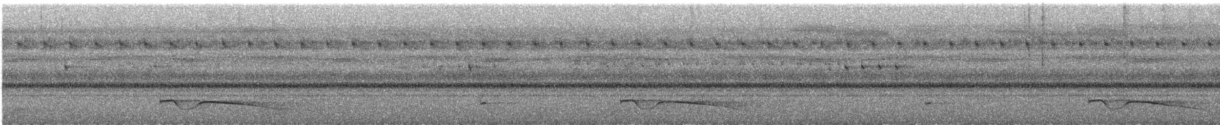 hornnattravn (cerviniceps/bourdilloni) - ML637078832