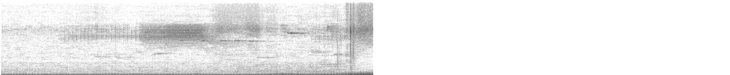 new world warbler sp. - ML637083492