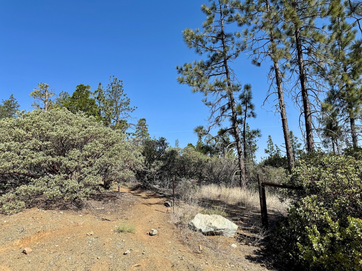 null - ML637085336