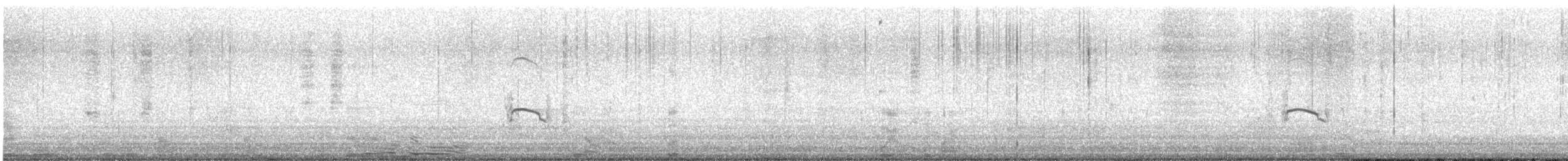 marmordvergteist - ML637087635
