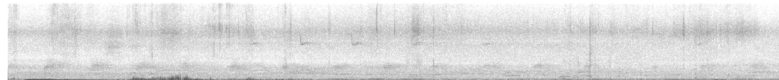 Stockente - ML637088322