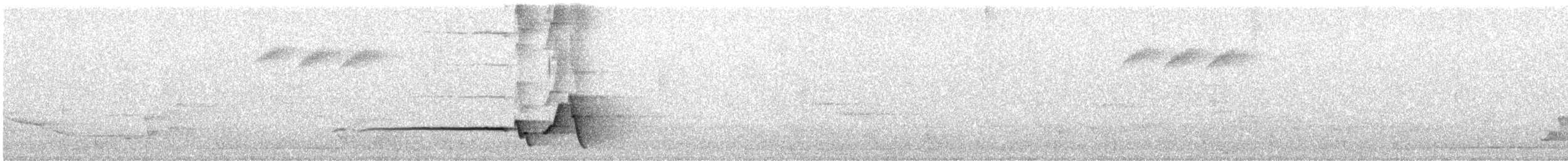 Japanese Bush Warbler - ML637090590