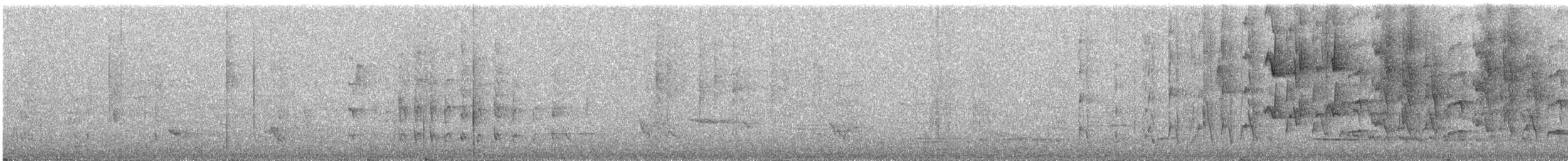 New Zealand Fantail - ML637093251