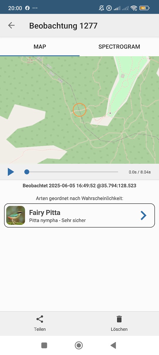 Fairy Pitta - ML637094049
