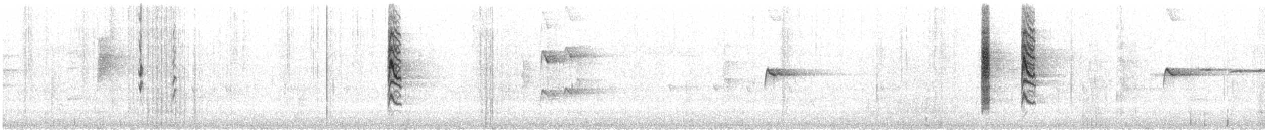 Brown Thornbill - ML637094347