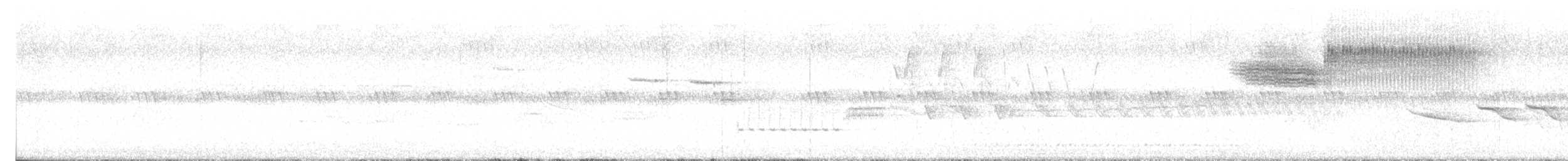 Brewster's Warbler (hybrid) - ML637096312