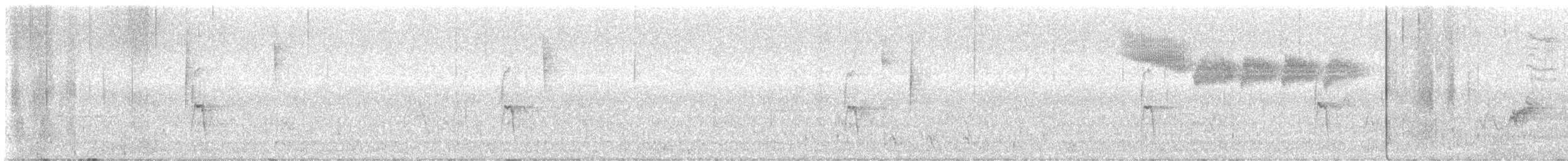 Brewster's Warbler (hybrid) - ML637097205