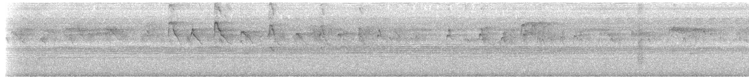 Cook's Swift - ML637099942