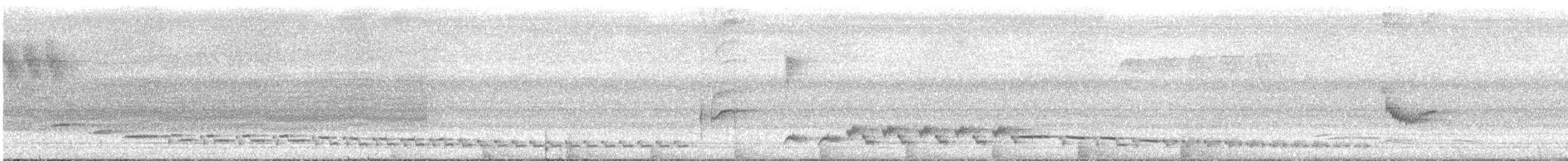 White-browed Shama - ML637103728