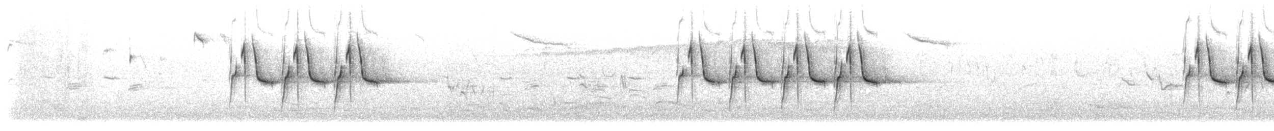 Coal Tit (Continental) - ML637103798