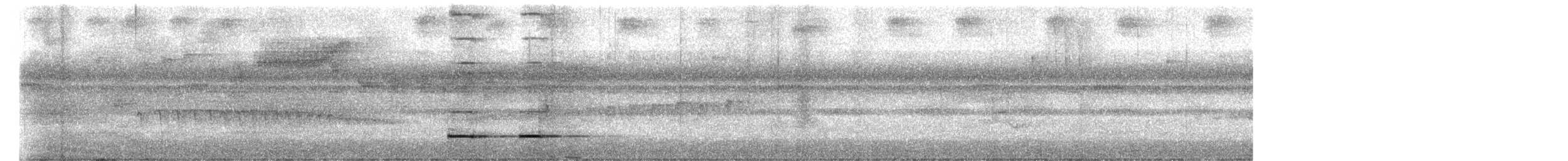 Rufous-breasted Antthrush - ML637104704
