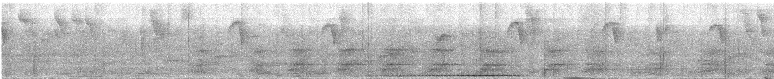 Scaled Antpitta - ML637105026