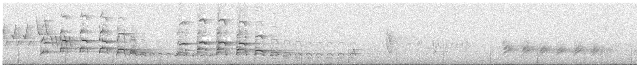 Common Black Hawk - ML637106027