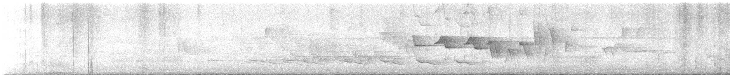 lesňáček potoční - ML637108131