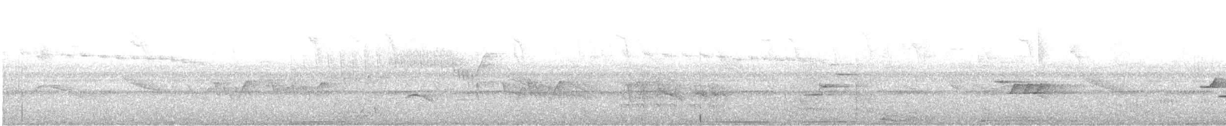 Band-tailed Pigeon - ML637108340