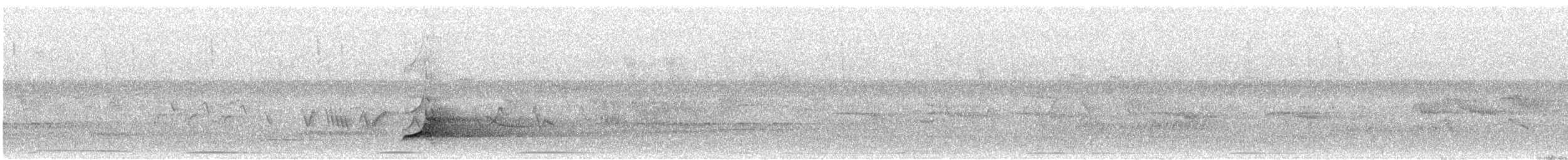 Northern Bobwhite - ML637110238