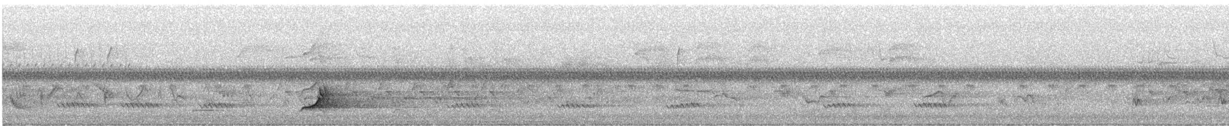 Northern Bobwhite - ML637110249