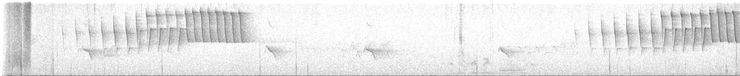 Tennessee Warbler - ML637113524