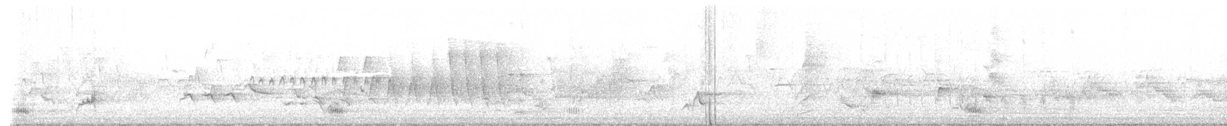 morčák chocholatý - ML637114049