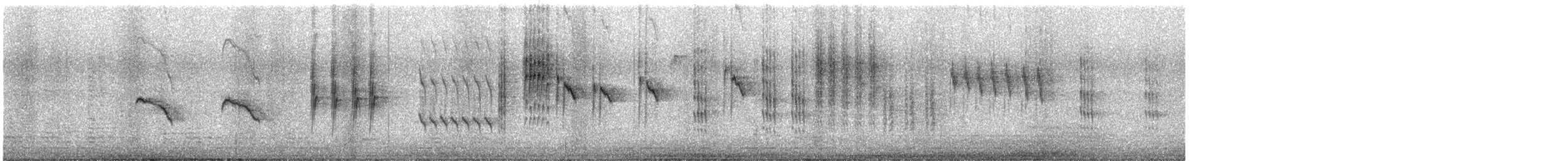 Sedge Warbler - ML637114107
