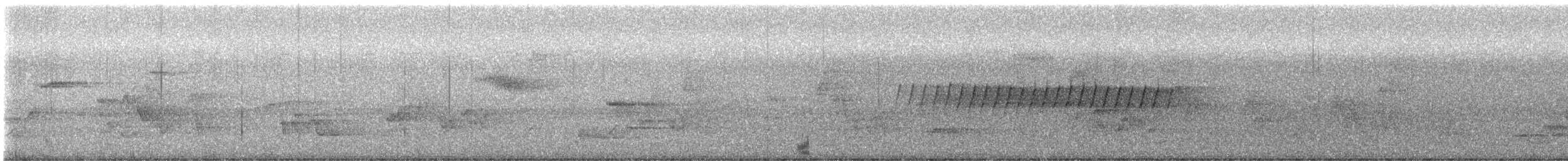 マツアメリカムシクイ - ML637114321