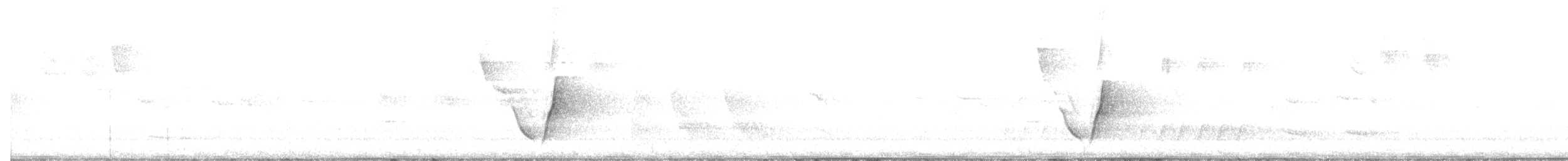 Siffleur doré (groupe pectoralis) - ML637116124