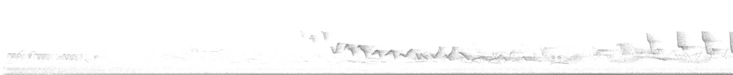 Willow Warbler - ML637116263