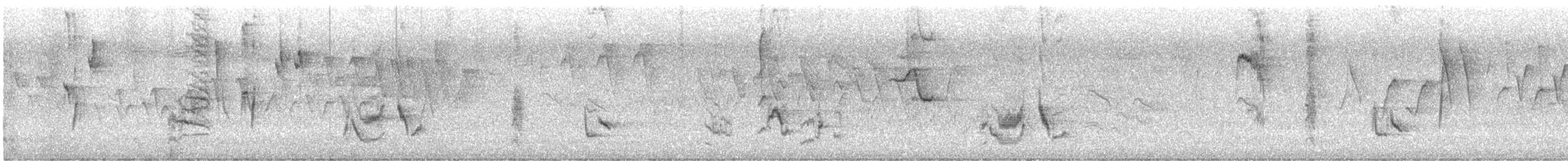 Gray Catbird - ML637117635