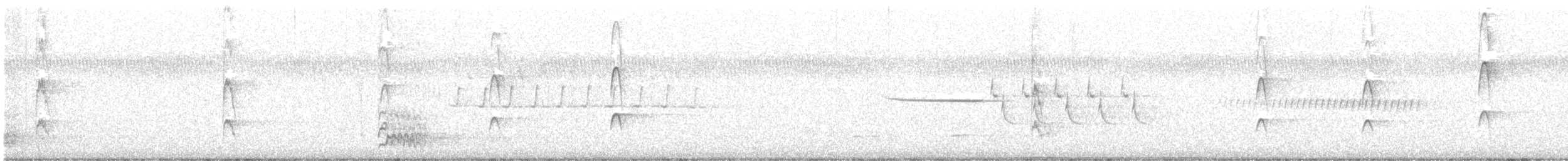 Kokardenspecht - ML637118981