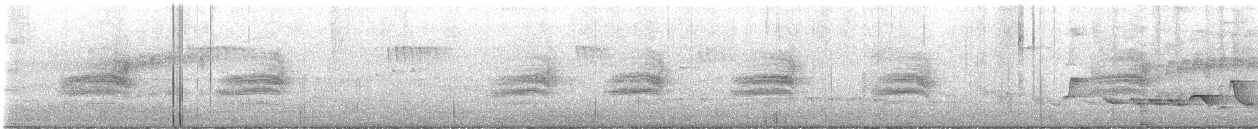 Warbling Vireo - ML637119581