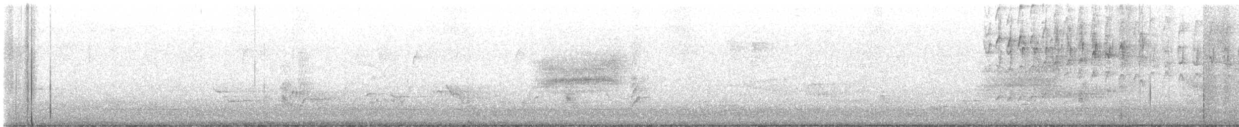 Baltimore Oriole - ML637119666