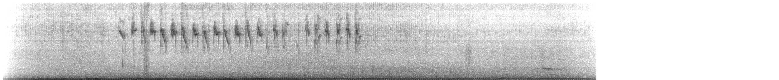 Cinereous Conebill - ML637119727