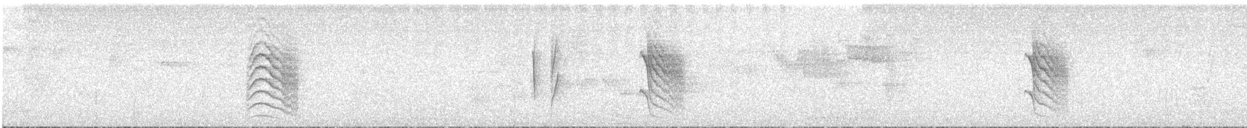 Slaty Antwren - ML637120238